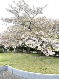 九州マイクロテック