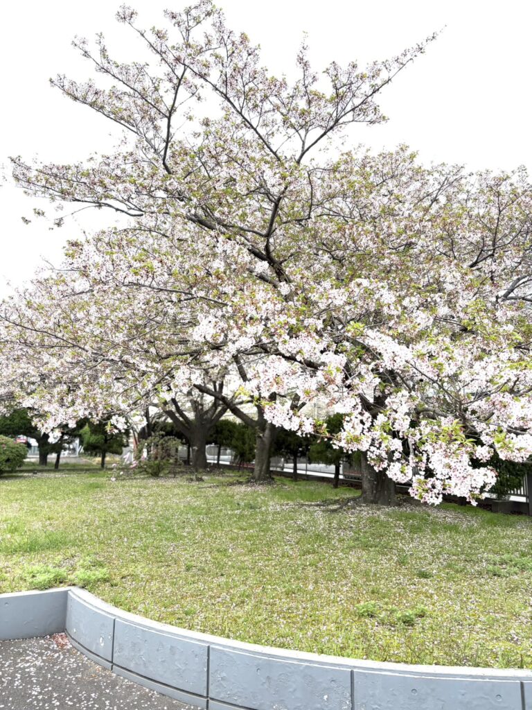 九州マイクロテック